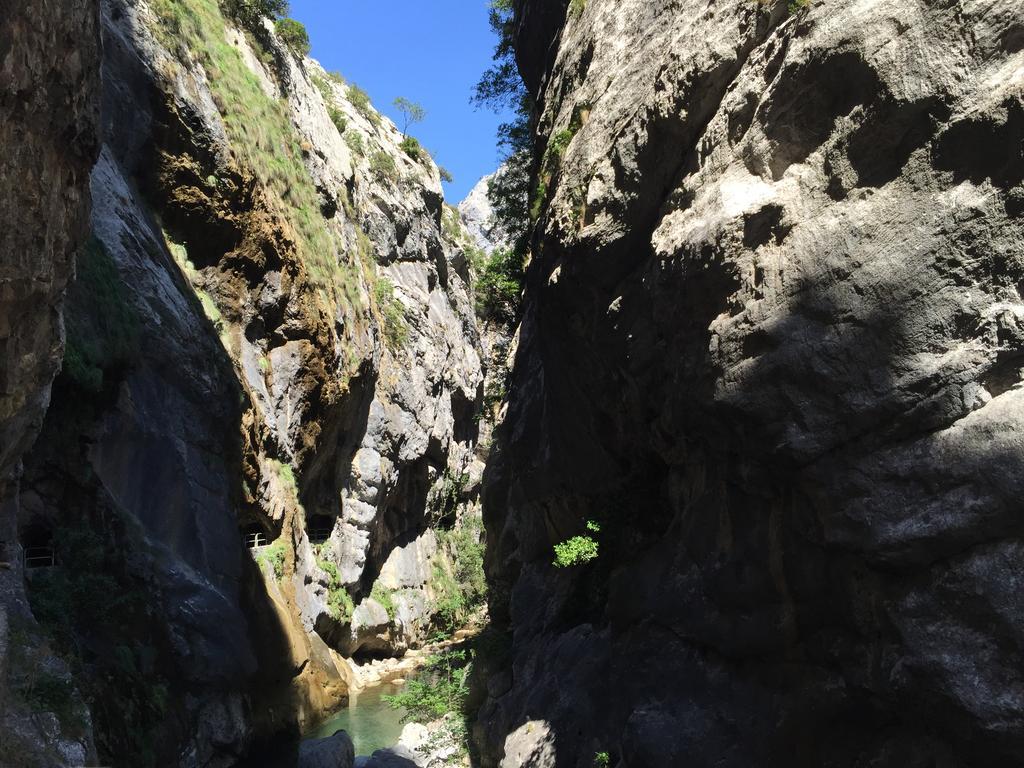 Gospodarstwo wiejskie El Invernal De Picos Portilla de la Reina