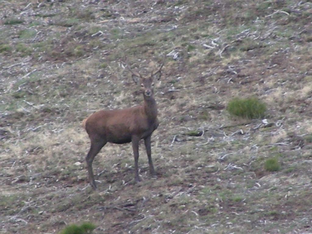 El Invernal De Picos Gospodarstwo wiejskie Portilla de la Reina