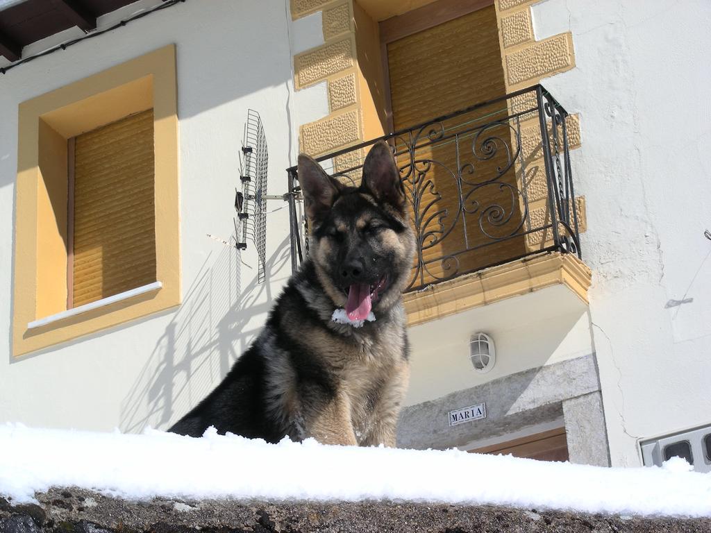 El Invernal De Picos