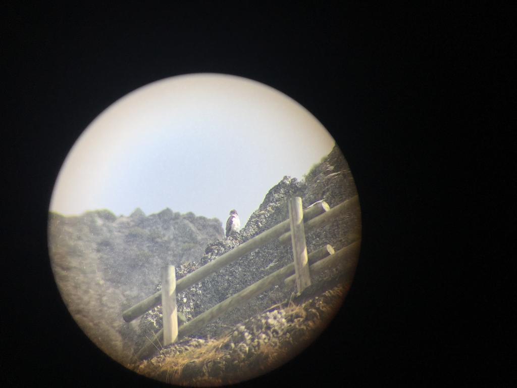 Gospodarstwo wiejskie El Invernal De Picos Portilla de la Reina